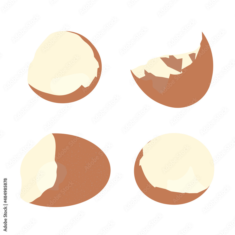 Eggshell vector stock illustration. For the recipe, a broken egg. Isolated on a white background.