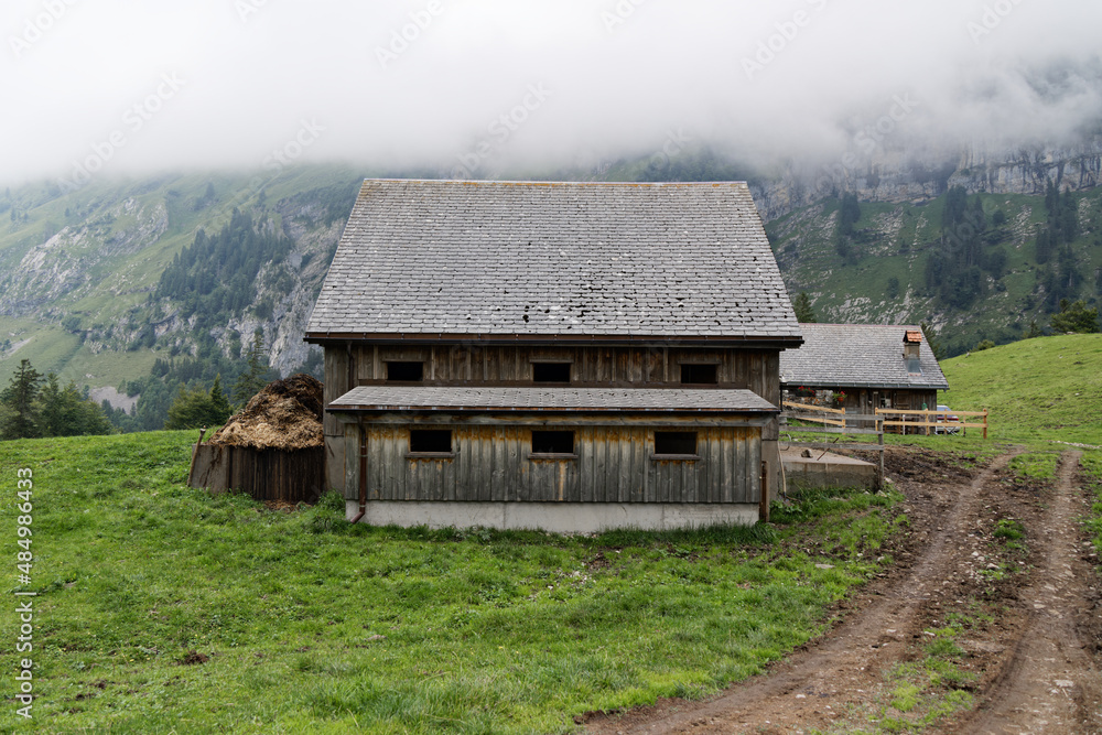 mountain stable, wooden house with manure pile on left side, six open windows, green meadow with forest road on right side, mountain landscape in misty background mountain stable, wooden house with manure pile on left side, six open windows, green meadow with forest road on right side, mountain landscape in misty background