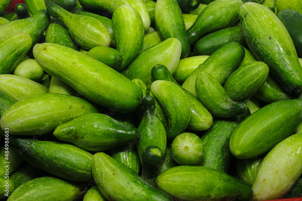 A large group of fresh cucumbers on a red plastic tray container are ready to sell in an Indonesian traditional market. Cucumber background, and agriculture background A large group of fresh cucumbers on a red plastic tray container are ready to sell in an Indonesian traditional market. Cucumber background, and agriculture background