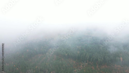 Autumn Forest Aerial Top Down View Zoom. Drone flies high over coluds.