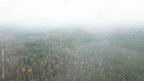 Autumn Forest Aerial Top Down View Zoom. Drone flies high over coluds.