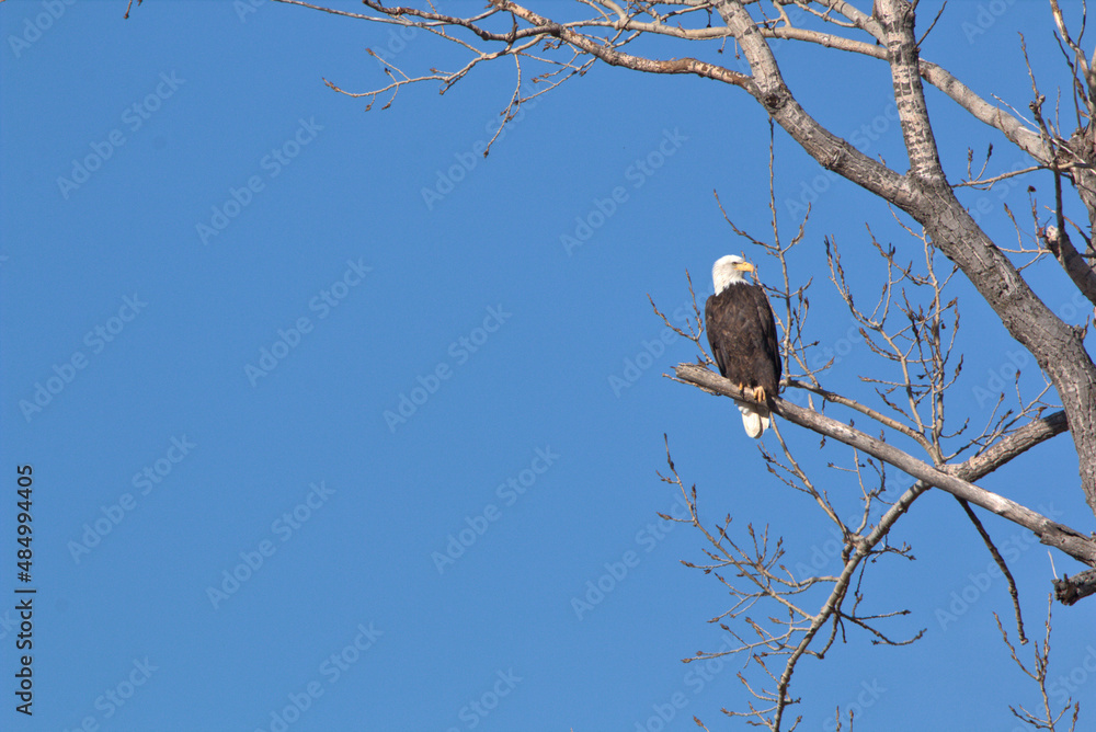 Wildlife habitat at Loess Bluff National Wildlife Refuge