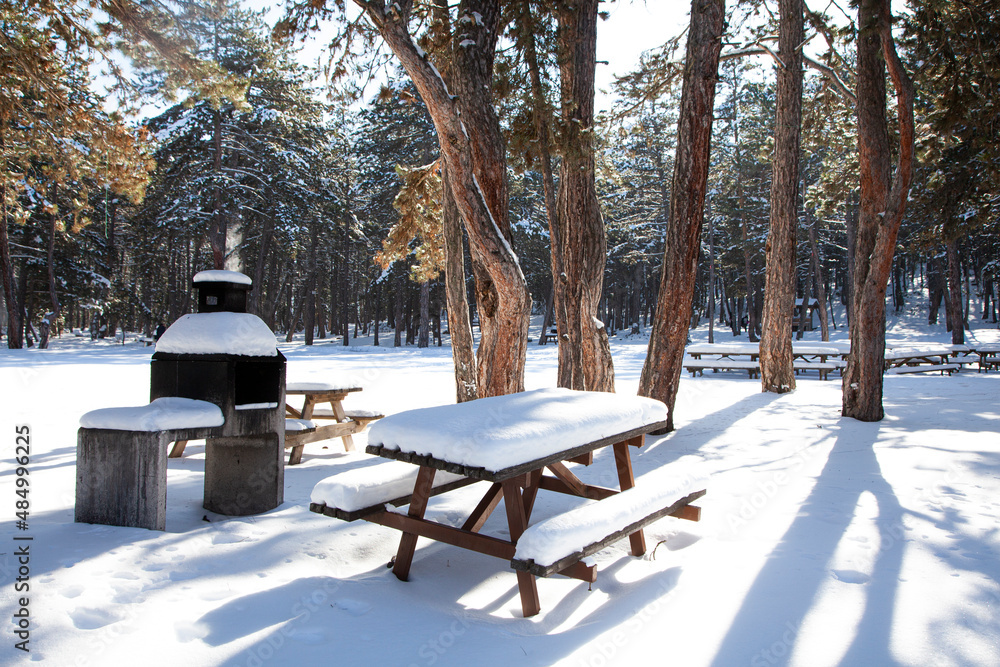 Picnic area in the forest is covered with white snow, barbecue in the open air on a cold winter day. The trees that receive sunlight are cold. It snowed in the forest. snow footprint