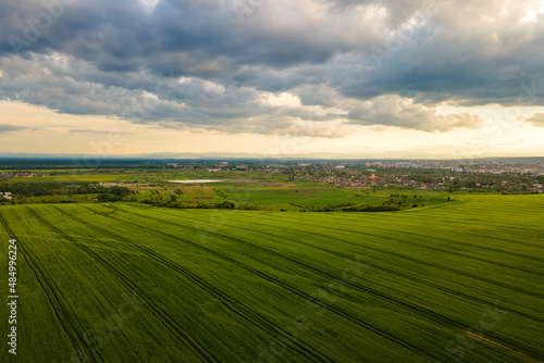 Aerial landscape view of green cultivated agricultural fields with growing crops on bright summer evening.