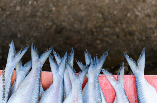 Fish tails in the market in Birma.
