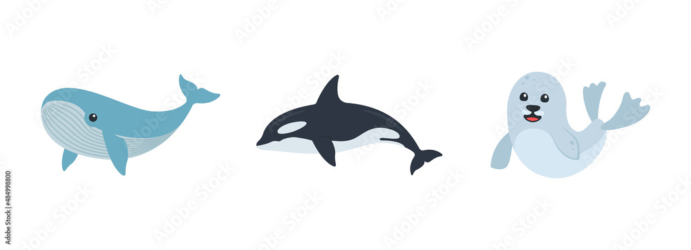 Vector set of marine animals on isolated background Vector set of marine animals on isolated background
