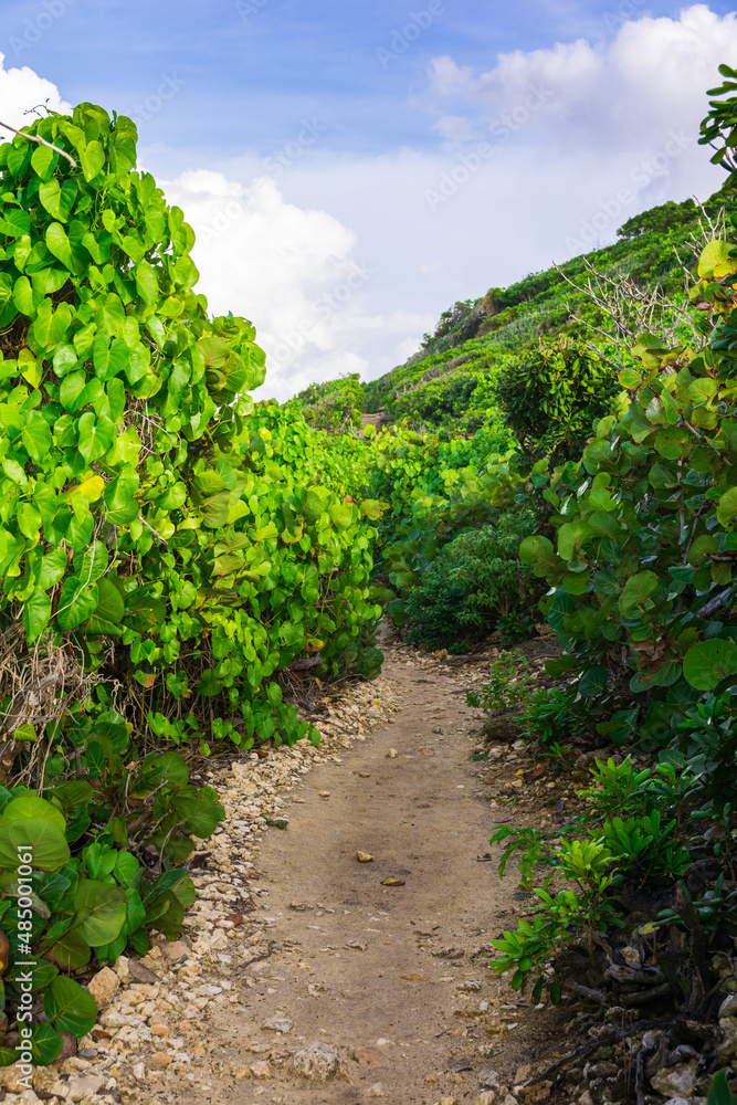 Pointe des chateaux, Grande-Terre, Guadeloupe Pointe des chateaux, Grande-Terre, Guadeloupe