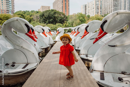 Little girl with swan boats photo