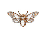 Beekeeper Honey bee symbol Golden icon Gold Glitters logo illustration
