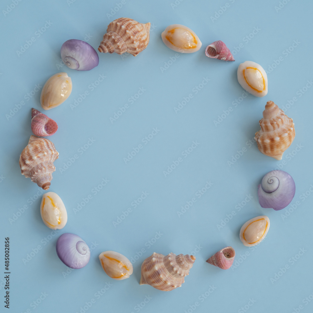 Fototapeta premium Circle of Beautiful Coloured Seashells on a Blue Background with Copy Space