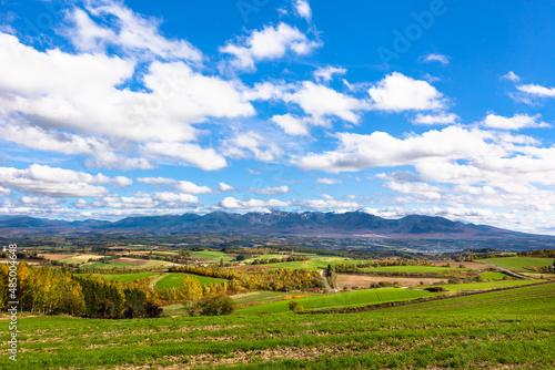 Wallpaper Mural 10月の北海道、美瑛の爽快な風景・日本 Torontodigital.ca