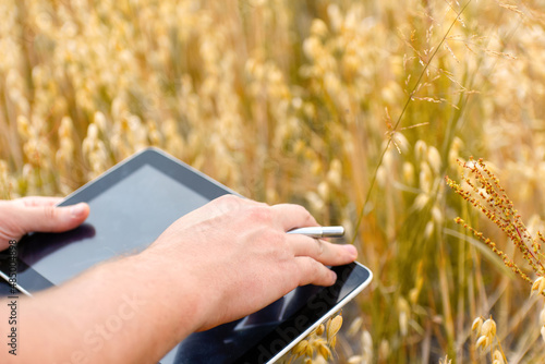 Closeup of young farmer's hands holding a tablet. Checking the progress of the harvest at the gold oats field. Worker tracks the growth prospects. Agricultural concept. Plantation control. Closeup photo