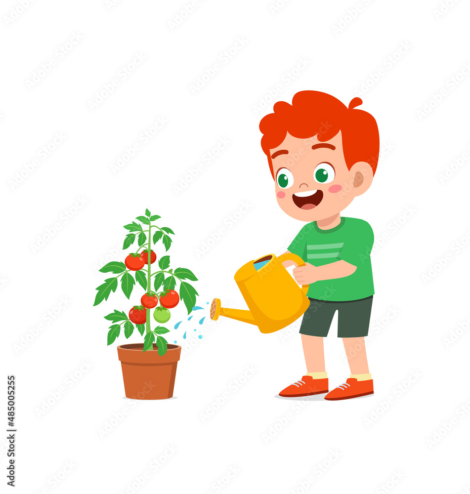 cute little boy stand and watering tomato tree cute little boy stand and watering tomato tree