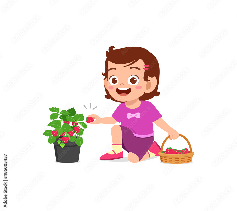 cute little girl harvest strawberry in the garden cute little girl harvest strawberry in the garden