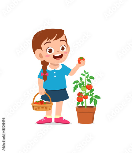 cute little girl harvest tomato in the garden