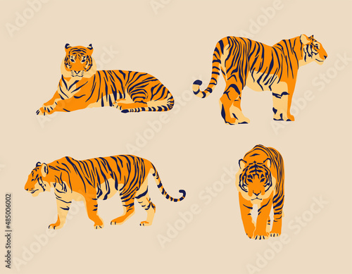 tiger