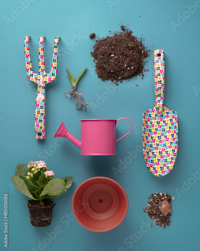 Creative neatly arranged layout with colorful  gardening tools, plants, dirt and pot on blue background. Minimal botanical concept. Flat lay.