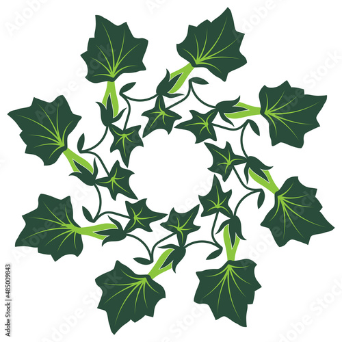 Round floral frame. Wreath of green ivy leaves. Botanical spiral mandala. On white background.