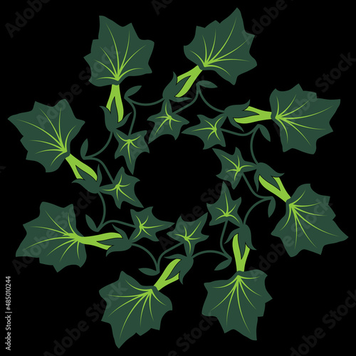 Round floral frame. Wreath of green ivy leaves. Botanical spiral mandala. On black background.