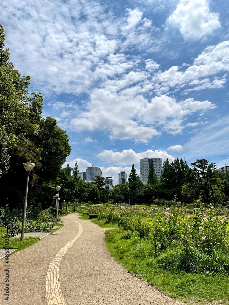 大阪・靭公園/ Osaka Utsubo park 