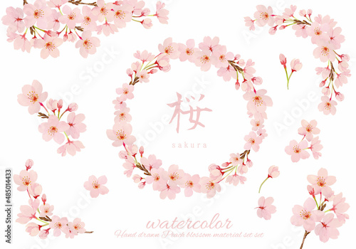 手書きの桜のフレームセット