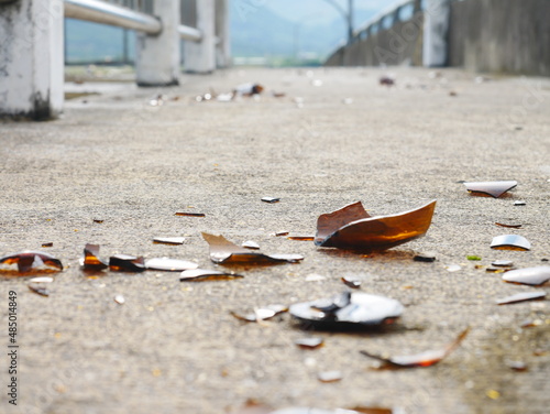 pieces of broken glass on the pedestrian path - environmental pollution