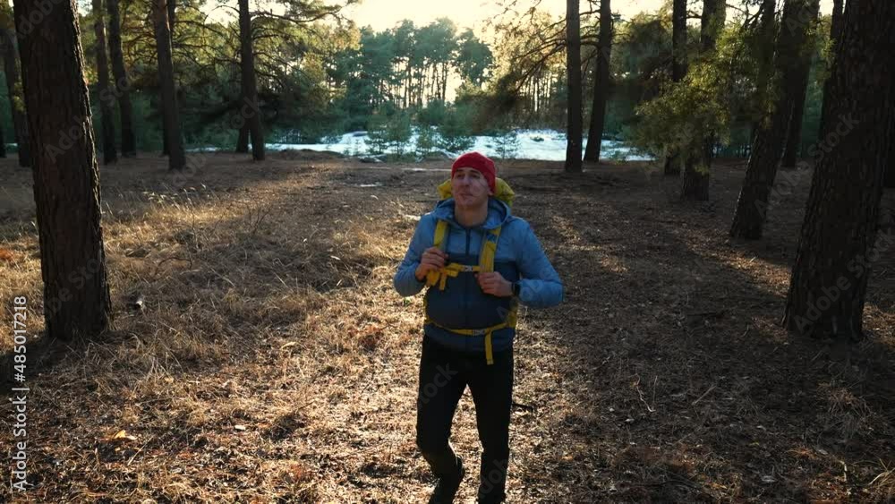 hipster hiker in the forest park. lifestyle adventure a travel ecotourism concept. hiker tourist with backpack. hipster with man tourist backpack green pine trees. forest travel park nature hipster hiker in the forest park. lifestyle adventure a travel ecotourism concept. hiker tourist with backpack. hipster with man tourist backpack green pine trees. forest travel park nature