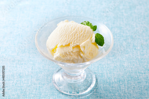 Принти на полотні バニラアイスクリーム　Vanilla ice cream