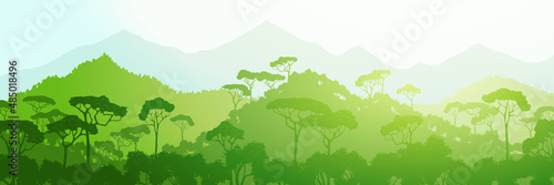 Rainforest hills, jungle. Panoramic view of southern nature, morning light.