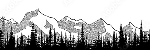 Black and white landscape, spruce forest against the background of snow-capped mountains