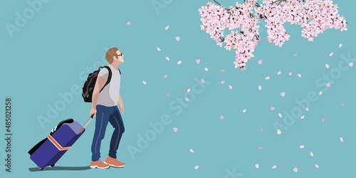 A traveler man walking under the cherry blossoms in full bloom. Spring trip. vector illustration, copy space, website, banner, header, poster, sign, flyer, pink, blue, graphic, card, background