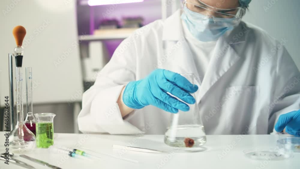 Medical scientist inspecting minced meat, wearing protective unform, working in laboratory. Food research, genetic Modifications of Product. Microbiologist analyzing lab-grown pieces of meat. Medical scientist inspecting minced meat, wearing protective unform, working in laboratory. Food research, genetic Modifications of Product. Microbiologist analyzing lab-grown pieces of meat.