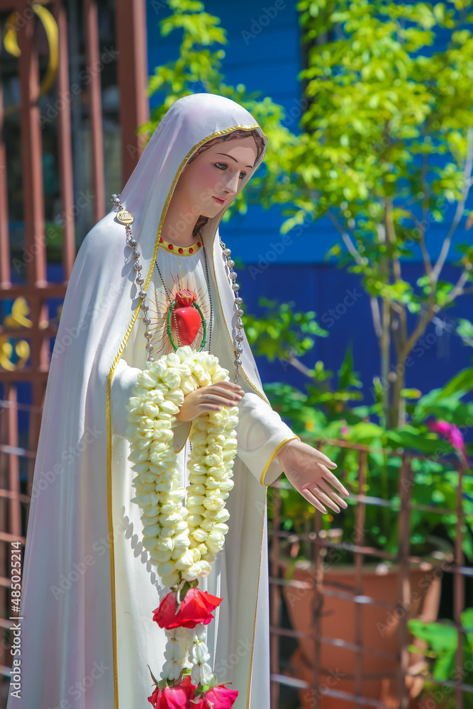 High-Resolution Images of the Virgin Mary For Download - Restored Traditions
