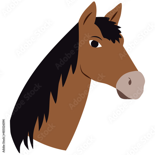 Vector cabeza de caballo mirando al frente