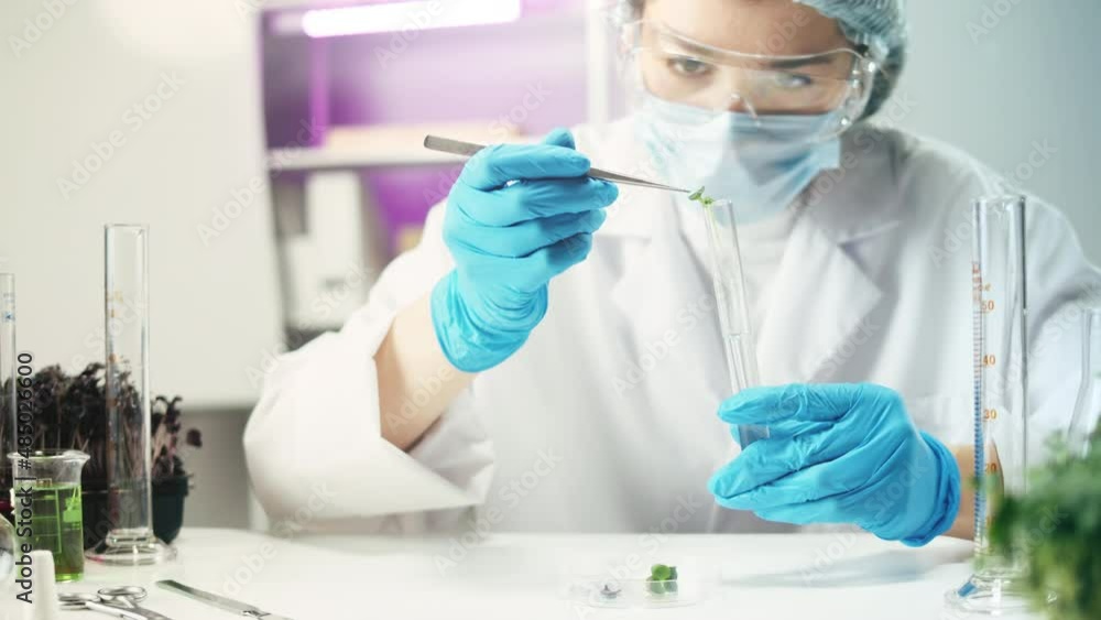 Medical scientist inspecting microgreens, wearing protective unform, working in laboratory. Food research, genetic Modifications of Product. Microbiologist analyzing lab-grown greenery plants. Medical scientist inspecting microgreens, wearing protective unform, working in laboratory. Food research, genetic Modifications of Product. Microbiologist analyzing lab-grown greenery plants.