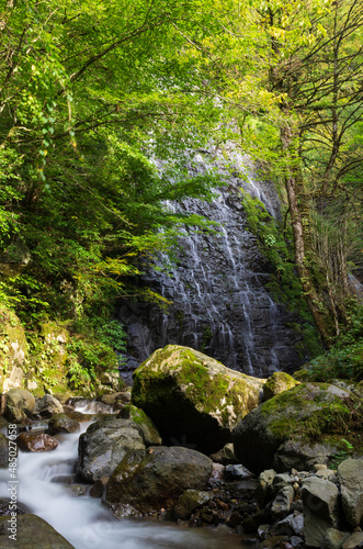 福井県池田町の龍双ヶ滝（日本の滝100選）