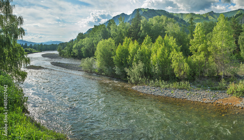 Wild mountain river on a summer day