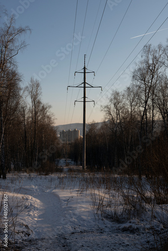 Power lines in a birch forest in winter against the blue sky.