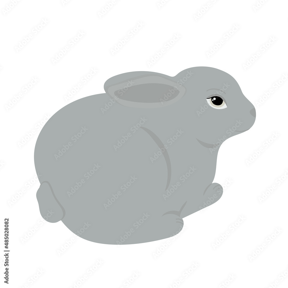 Vector illustration of gray rabbit isolated on a white background. Vector illustration of gray rabbit isolated on a white background.