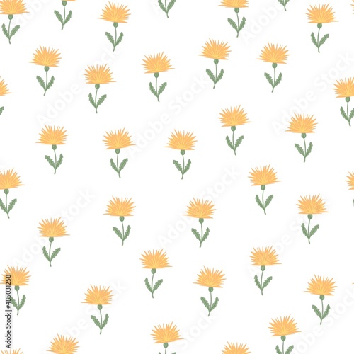 Dandelion cute seamless pattern. Hand drawn meadow background.
