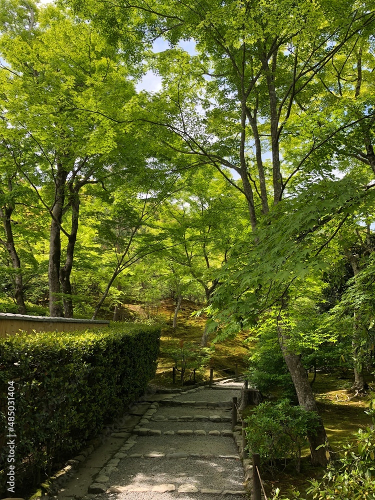 path in the park