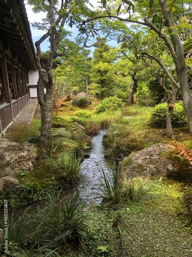 japanese garden in spring