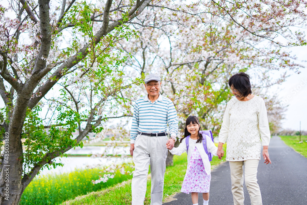 祖父母と元気に登校する小学生の女の子