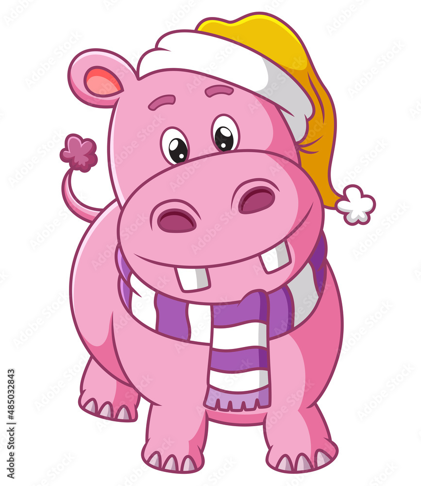Obraz premium The pretty hippopotamus is wearing the santa hat