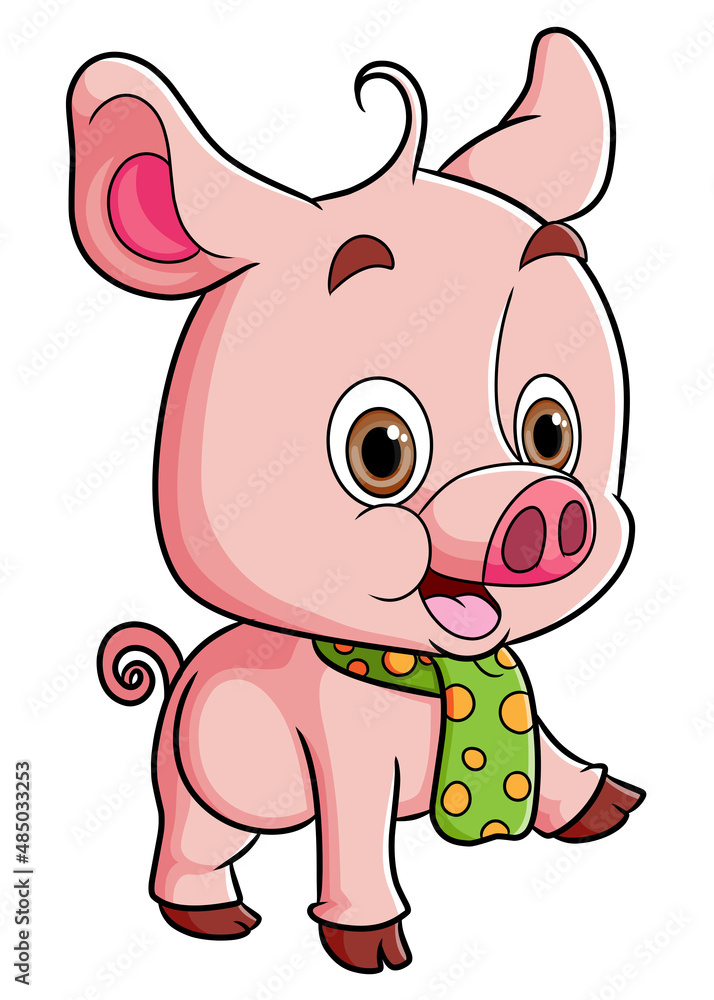 The baby pig learning to walk and crawl while wearing scarf The baby pig learning to walk and crawl while wearing scarf