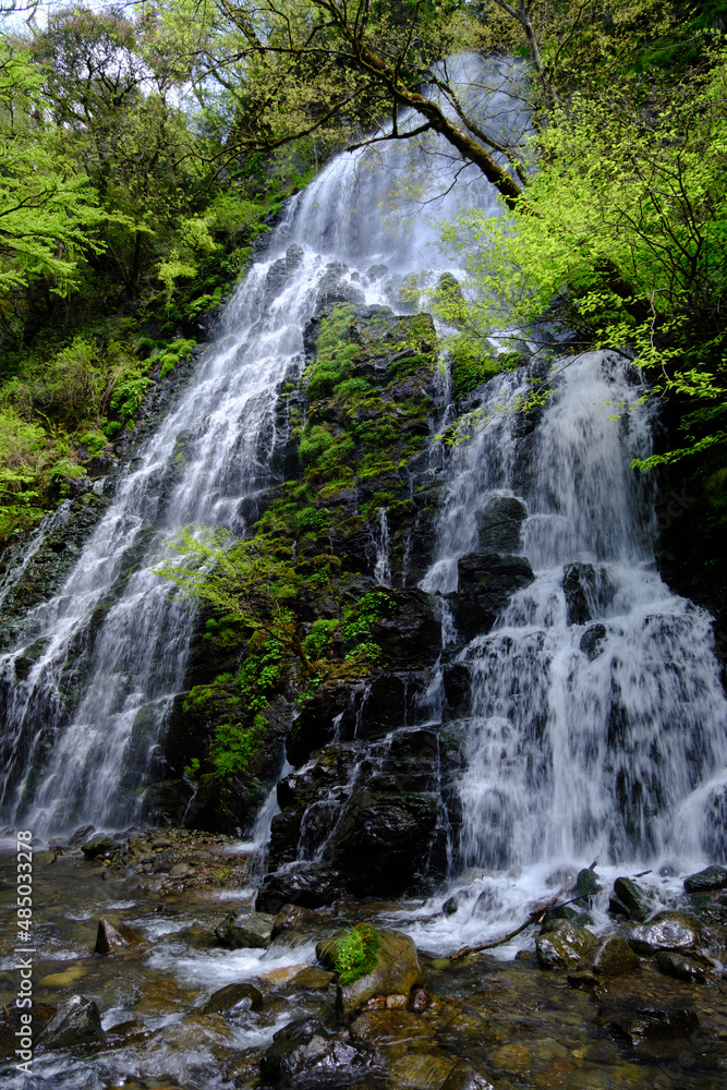 Obraz premium 福井県池田町の龍双ヶ滝、春、日本の滝100選