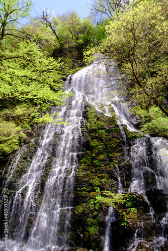 福井県池田町の龍双ヶ滝、春、日本の滝100選
