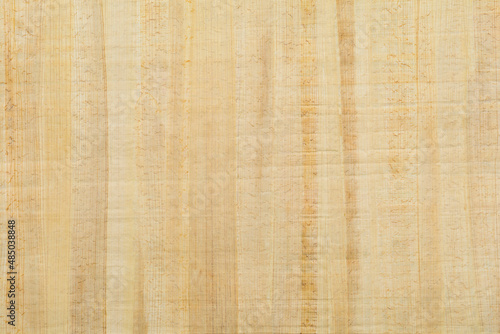 Blank traditional Egyptian papyrus paper background pattern