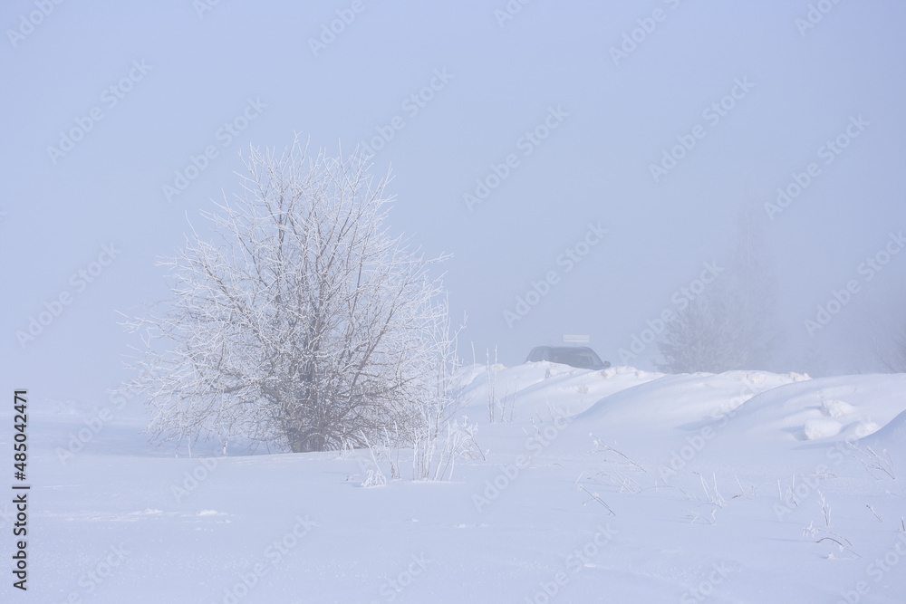 In the fog, a tree with frost on the branches and behind the snowdrifts a car on a winter road