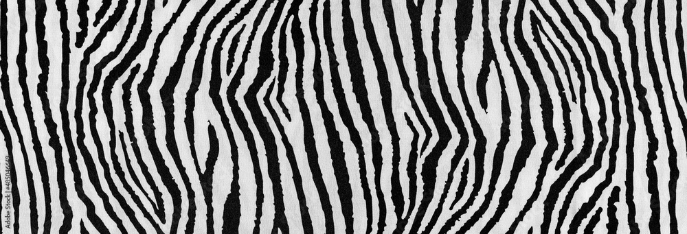 zebra print useful as a background - obrazy, fototapety, plakaty 